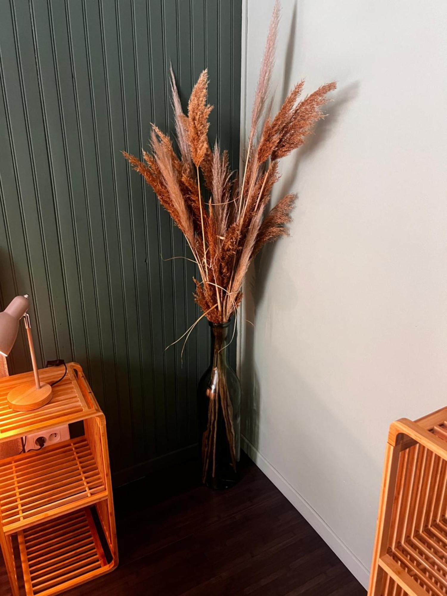 La Brigue Hotel Fleur Des Alpes מראה חיצוני תמונה